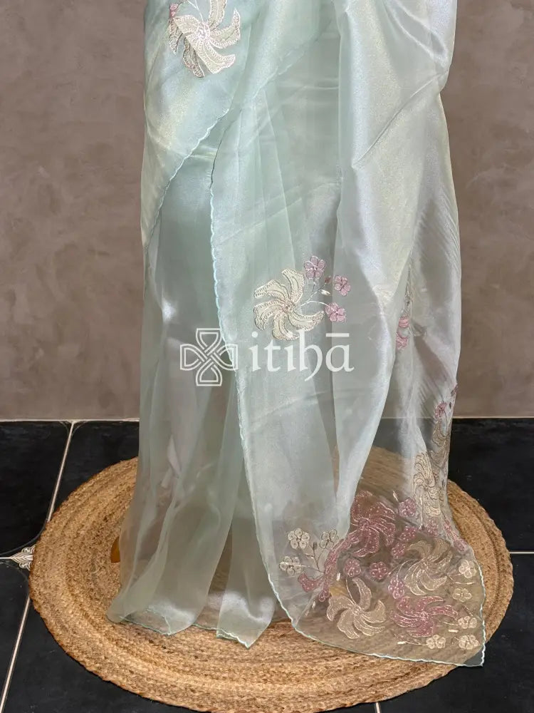 ORGANZA APPLIQUE EMBROIDERY SAREE
