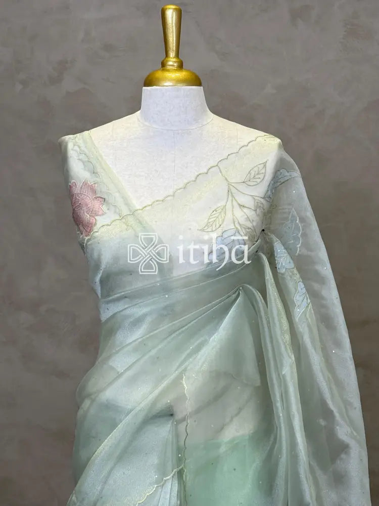 ORGANZA APPLIQUE EMBROIDERY SAREE