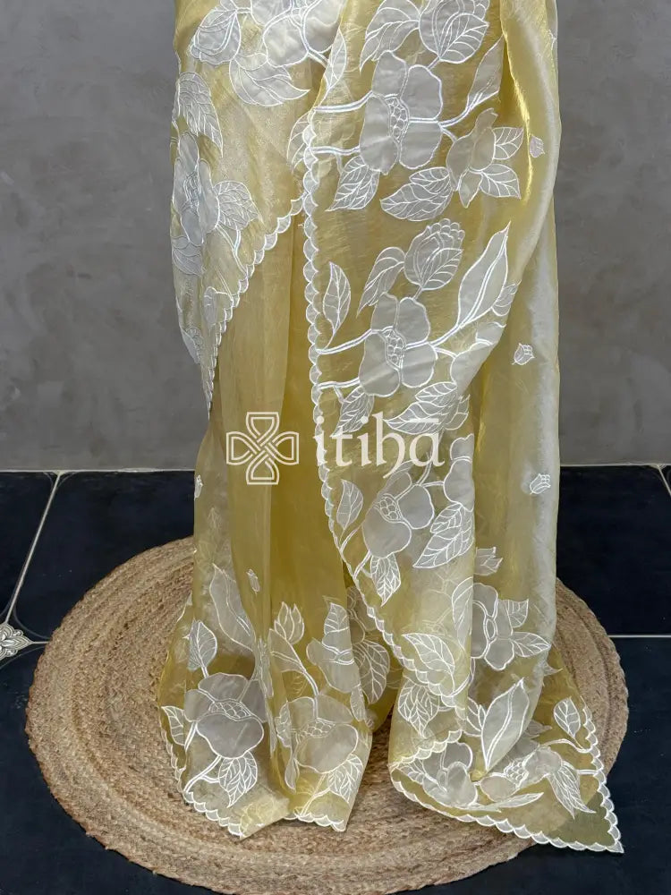 ORGANZA APPLIQUE EMBROIDERY SAREE