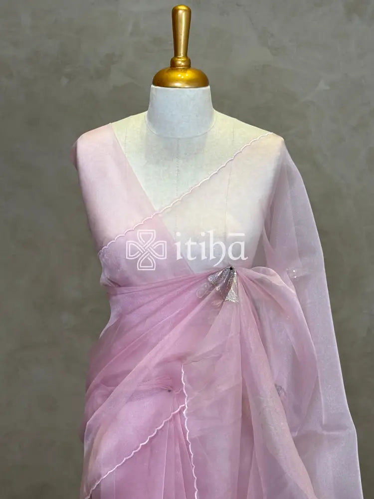 ORGANZA APPLIQUE EMBROIDERY SAREE