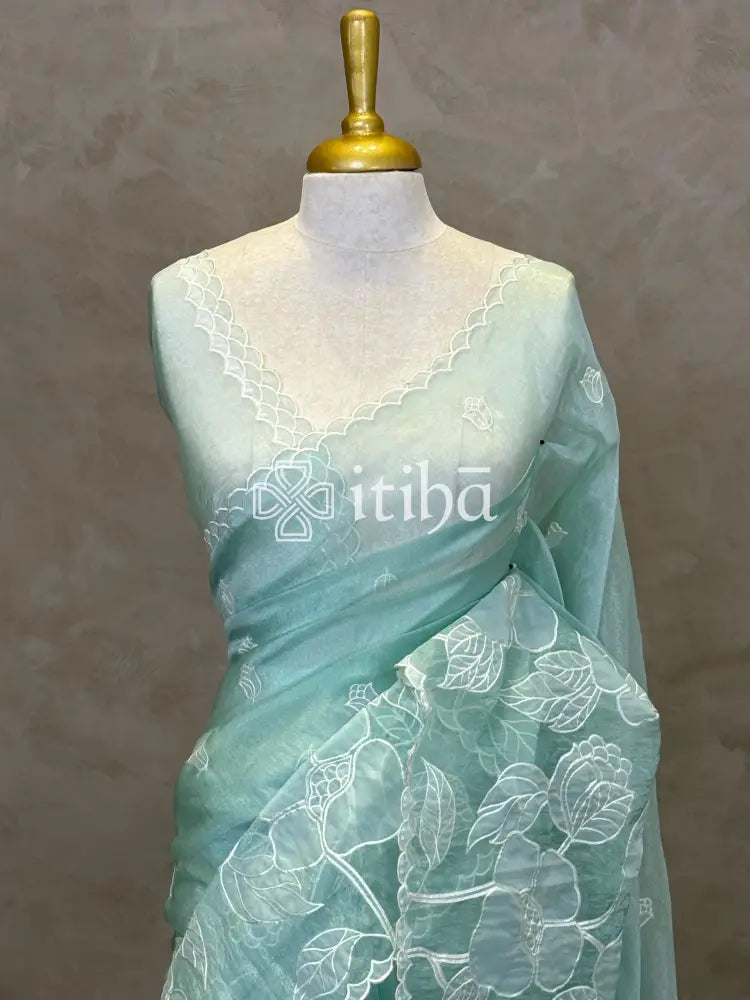 ORGANZA APPLIQUE EMBROIDERY SAREE