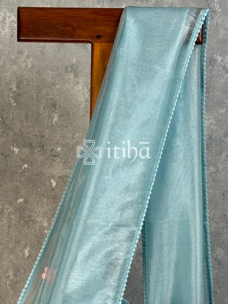 ORGANZA APPLIQUE SAREE - light blue