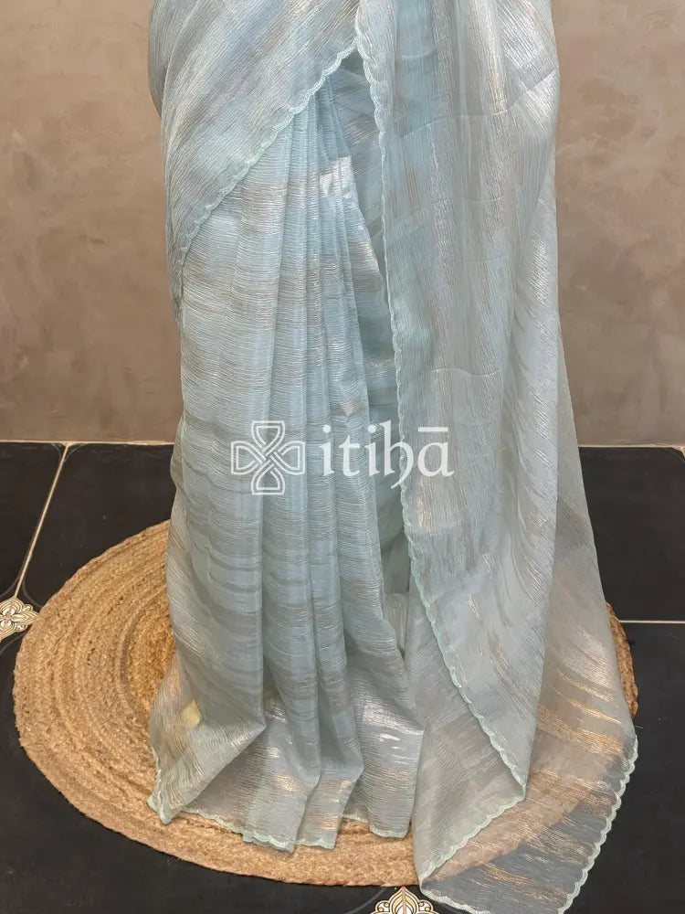 ORGANZA HAND EMBROIDERY SAREE