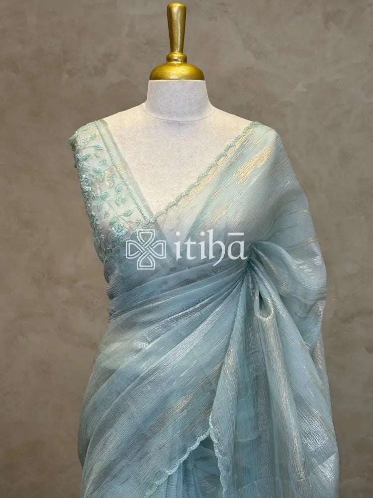 ORGANZA HAND EMBROIDERY SAREE