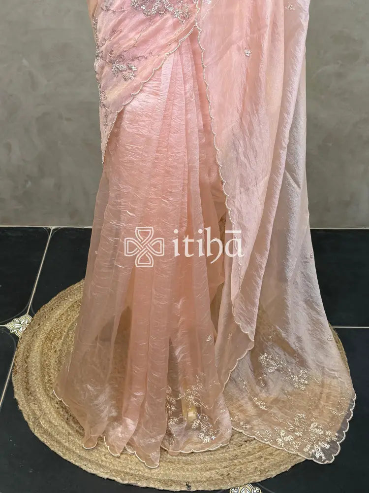 ORGANZA HAND EMBROIDERY SAREE