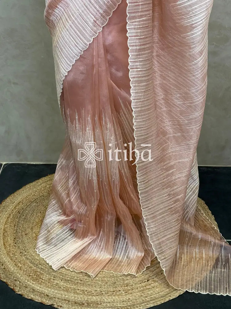 ORGANZA TURKISH APPLIQUE DESIGNER SAREE