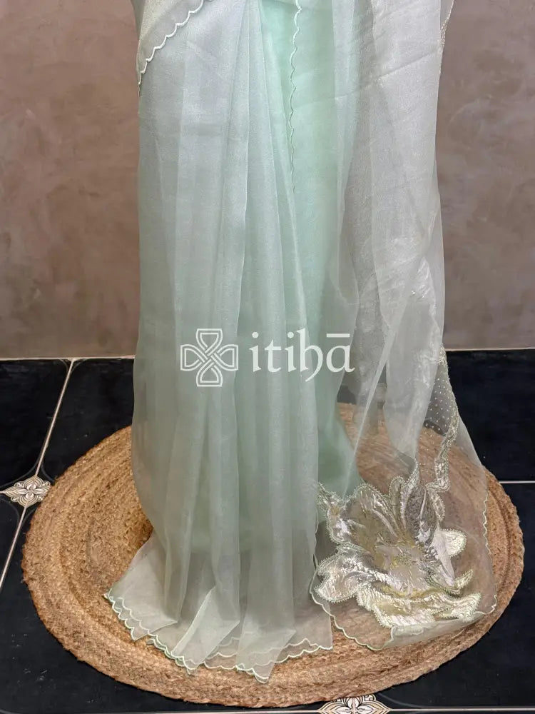 ORGANZA TURKISH APPLIQUE EMBROIDERY SAREE