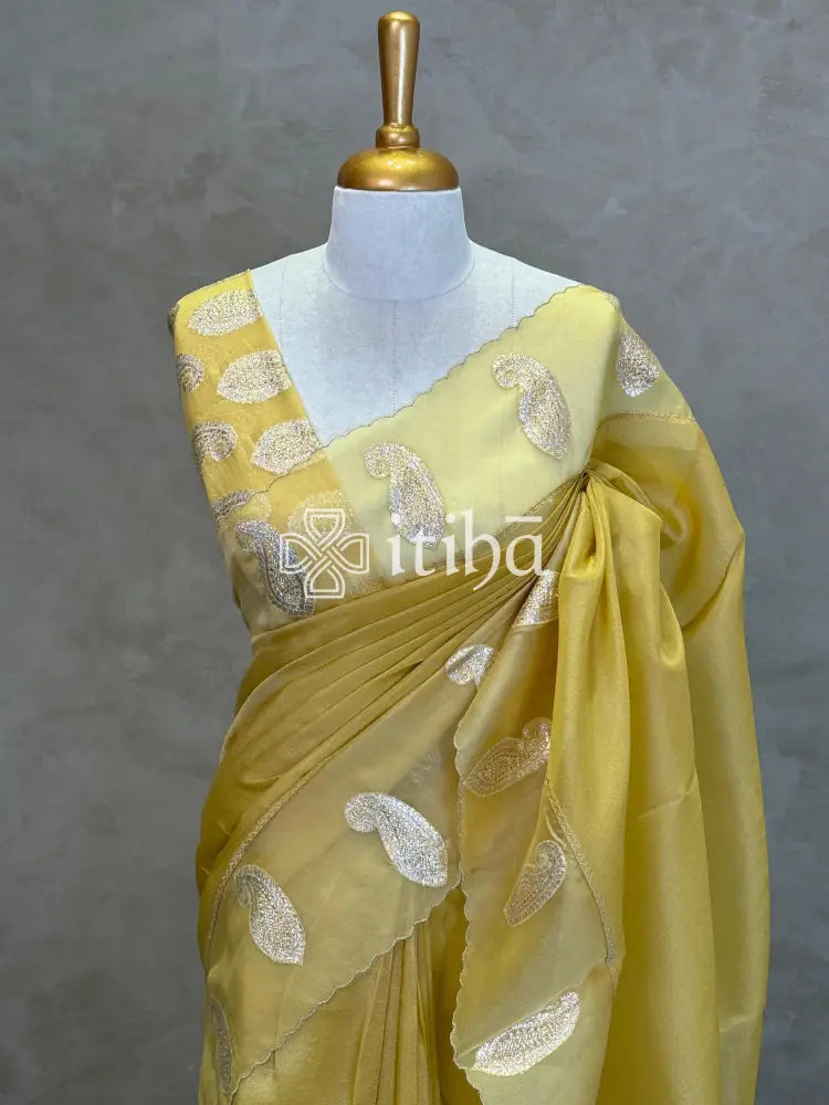 PURE SILK TISSUE ORGANZA HAND EMBROIDERY SAREE