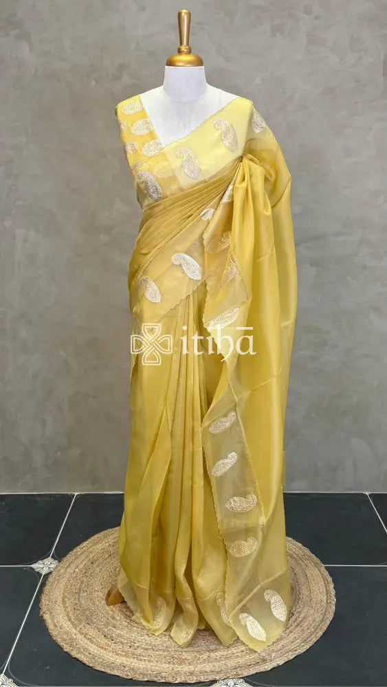 PURE SILK TISSUE ORGANZA HAND EMBROIDERY SAREE