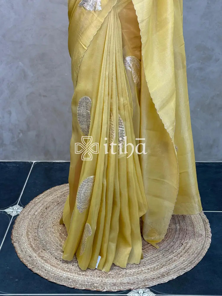 PURE SILK TISSUE ORGANZA HAND EMBROIDERY SAREE