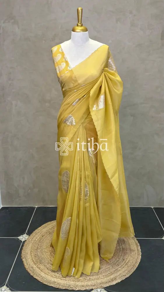 PURE SILK TISSUE ORGANZA HAND EMBROIDERY SAREE