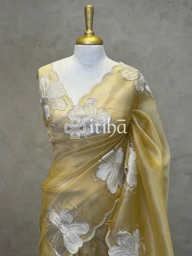 SEMI ORGANZA APPLIQUE SAREE