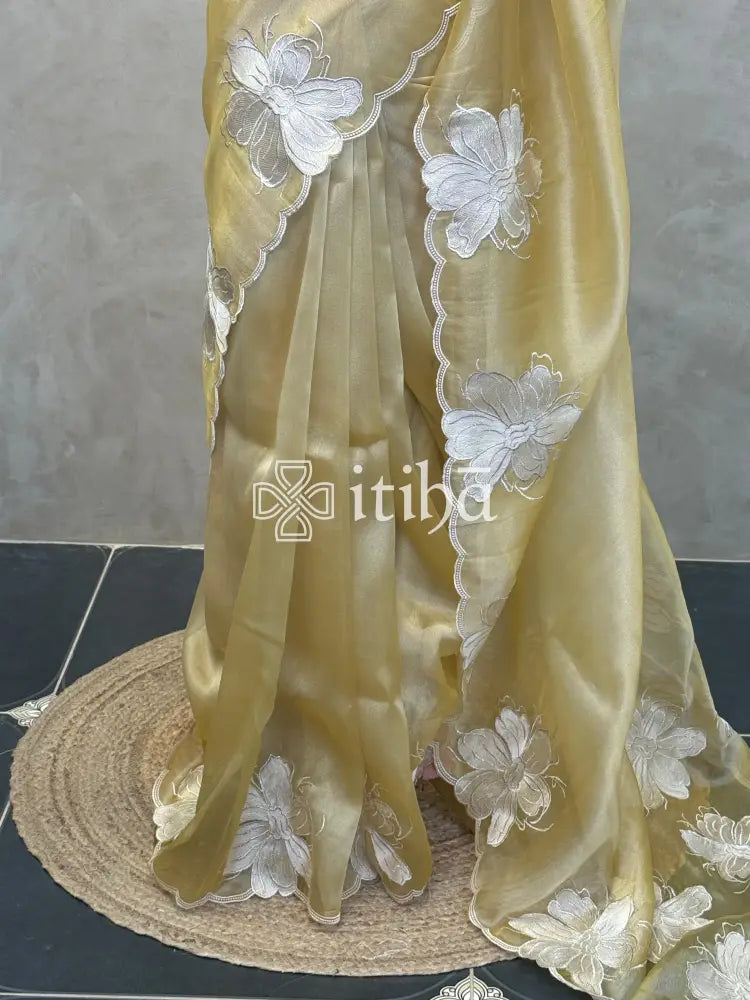 SEMI ORGANZA APPLIQUE SAREE