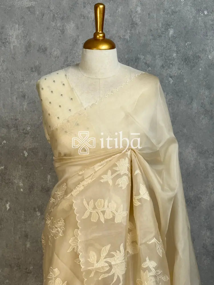 SILK ORGANZA APPLIQUE EMBROIDERY SAREE
