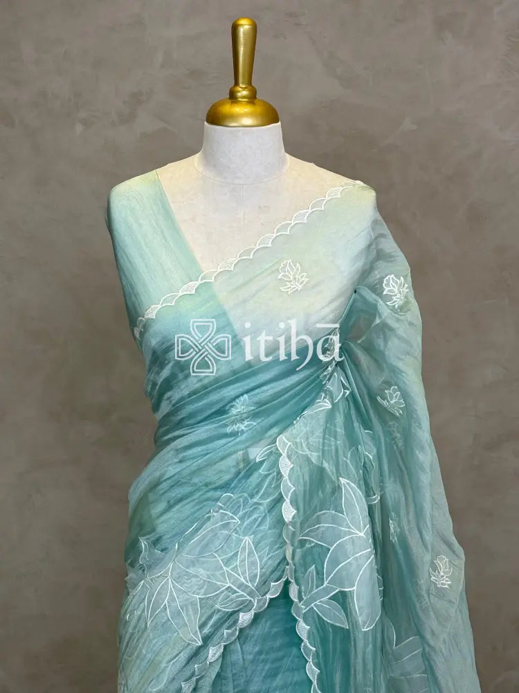 SOFT ORGANZA APPLIQUE EMBROIDERY SAREE