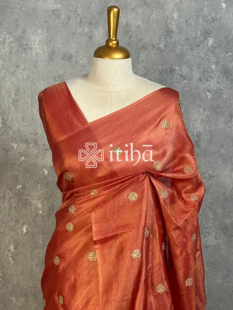 TUSSAR SILK ZARI CHECK EMBROIDERY SAREE