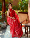 APPLIQUE EMBROIDERY SAREE