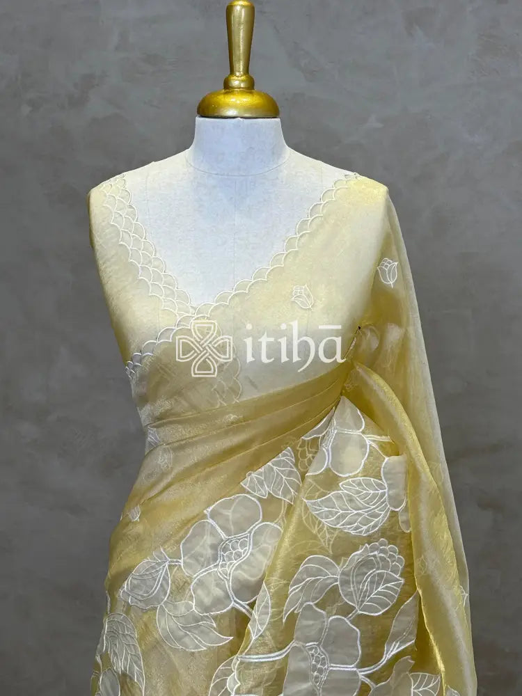 ORGANZA APPLIQUE EMBROIDERY SAREE