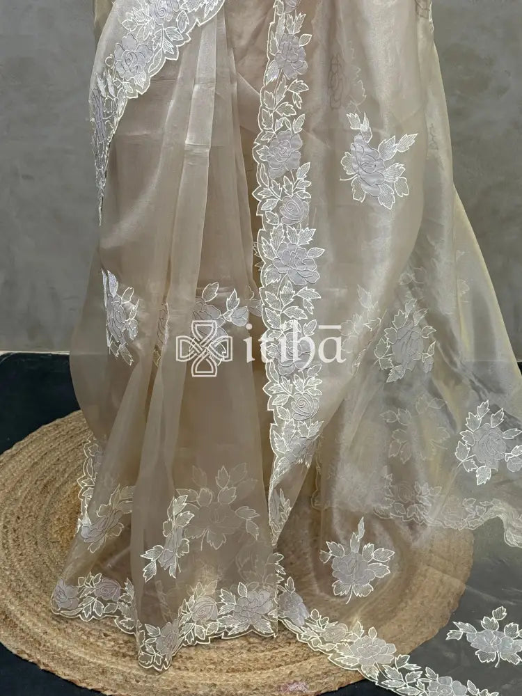 ORGANZA APPLIQUE EMBROIDERY SAREE
