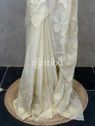 ORGANZA APPLIQUE EMBROIDERY SAREE