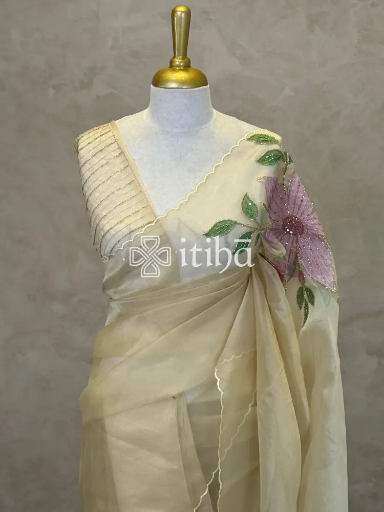 ORGANZA APPLIQUE EMBROIDERY SAREE