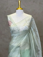 ORGANZA APPLIQUE EMBROIDERY SAREE