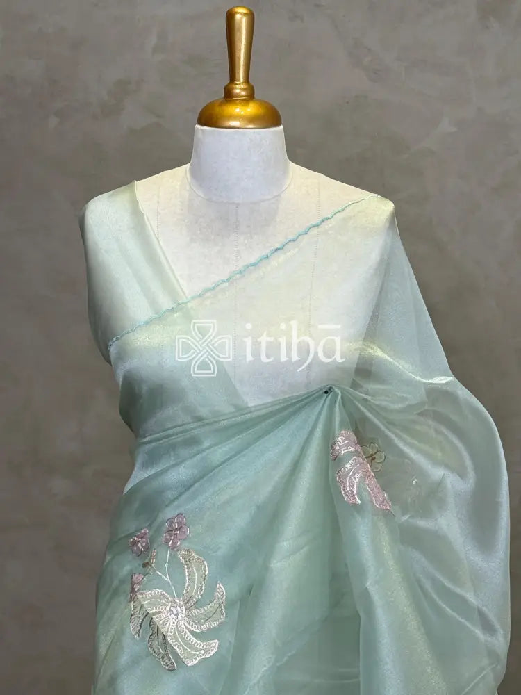 ORGANZA APPLIQUE EMBROIDERY SAREE