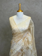 ORGANZA APPLIQUE EMBROIDERY SAREE
