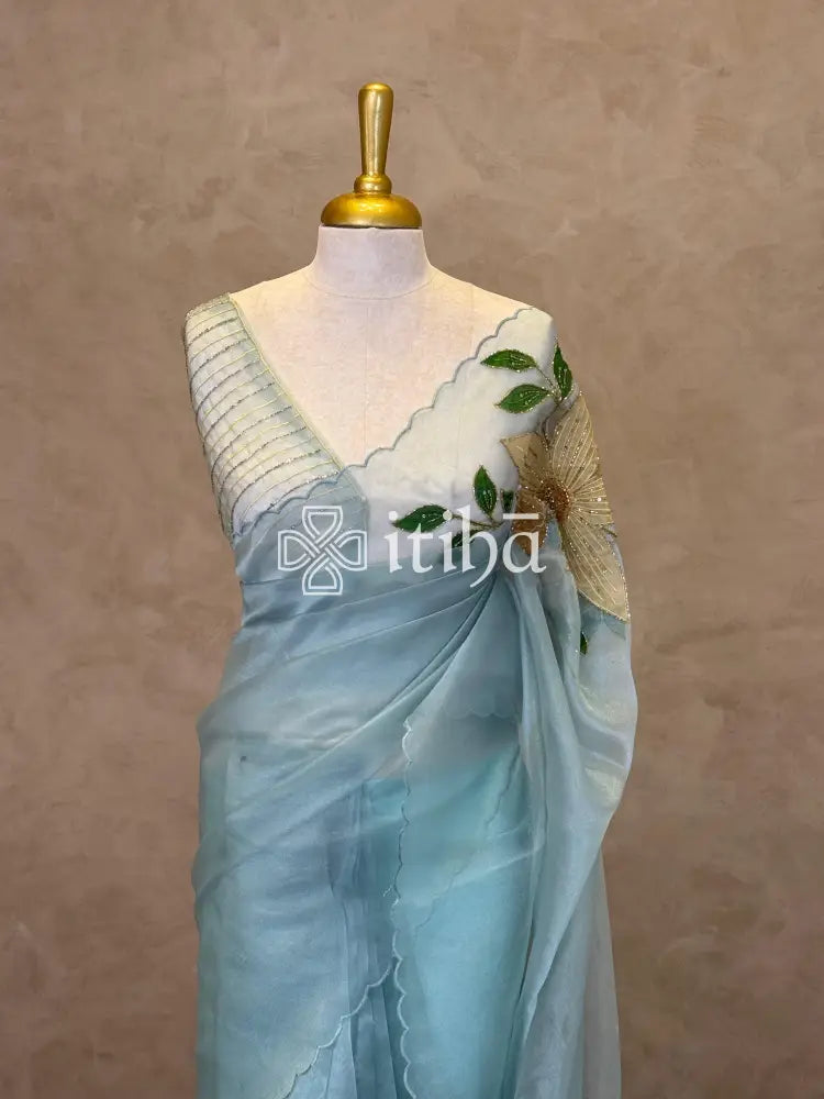 ORGANZA APPLIQUE EMBROIDERY SAREE