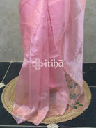 ORGANZA APPLIQUE EMBROIDERY SAREE