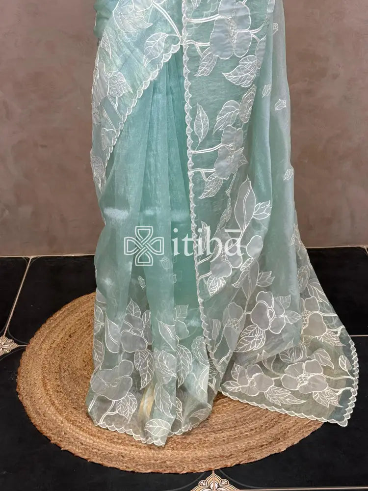 ORGANZA APPLIQUE EMBROIDERY SAREE