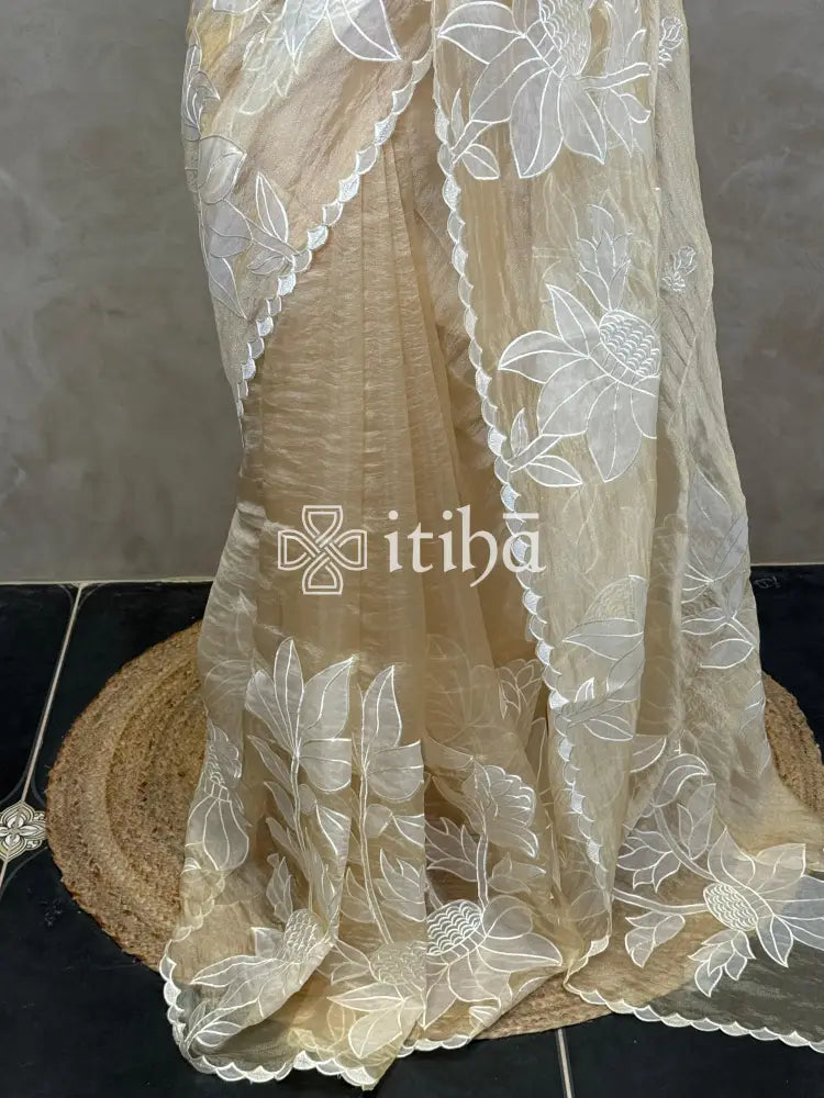 ORGANZA APPLIQUE EMBROIDERY SAREE