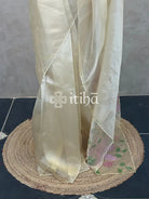 ORGANZA APPLIQUE EMBROIDERY SAREE