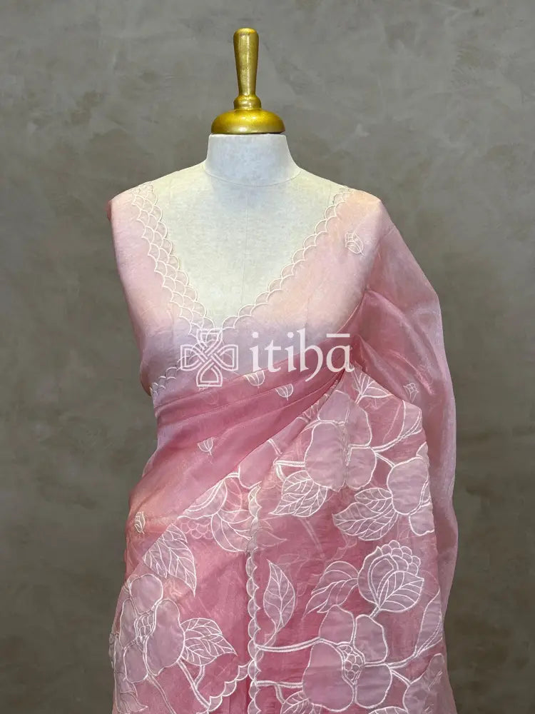 ORGANZA APPLIQUE EMBROIDERY SAREE