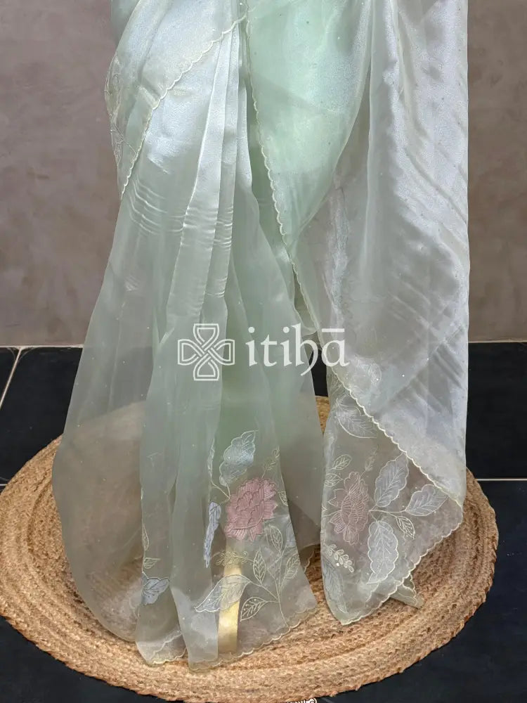 ORGANZA APPLIQUE EMBROIDERY SAREE