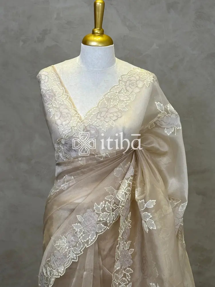 ORGANZA APPLIQUE EMBROIDERY SAREE
