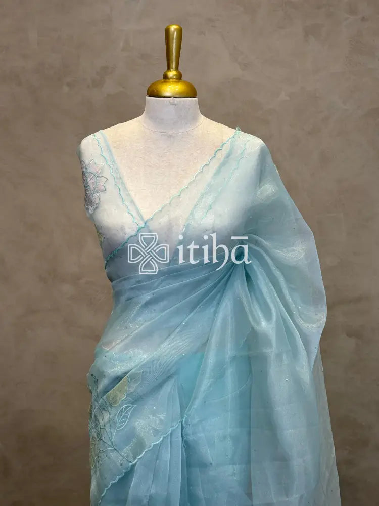 ORGANZA APPLIQUE EMBROIDERY SAREE - LIGHT BLUE