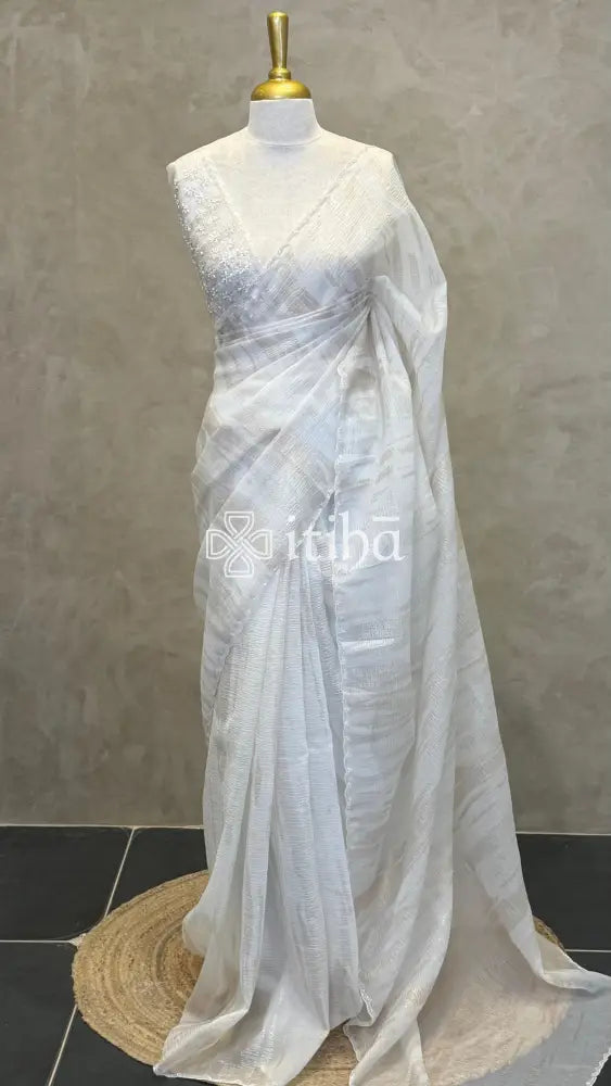 ORGANZA HAND EMBROIDERY SAREE