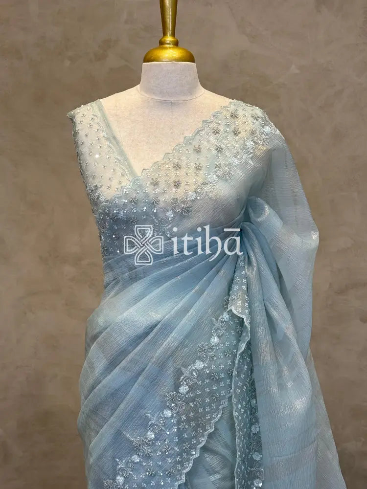 ORGANZA HAND EMBROIDERY SAREE