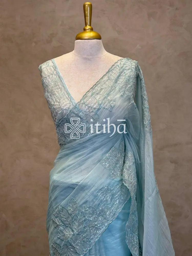 ORGANZA HAND EMBROIDERY SAREE