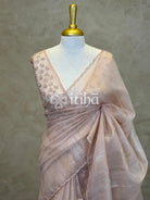ORGANZA HAND EMBROIDERY SAREE