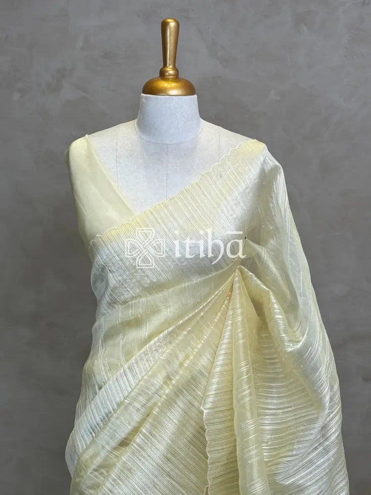 ORGANZA TURKISH APPLIQUE DESIGNER SAREE