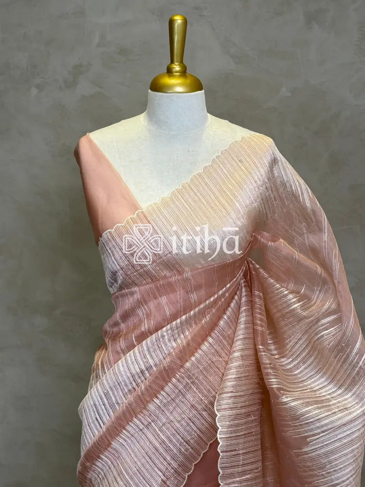 ORGANZA TURKISH APPLIQUE DESIGNER SAREE
