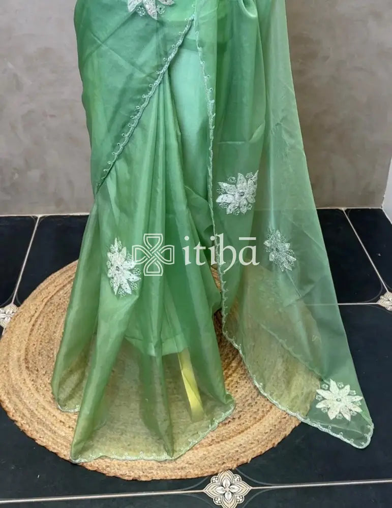ORGANZA TURKISH APPLIQUE EMBROIDERY SAREE