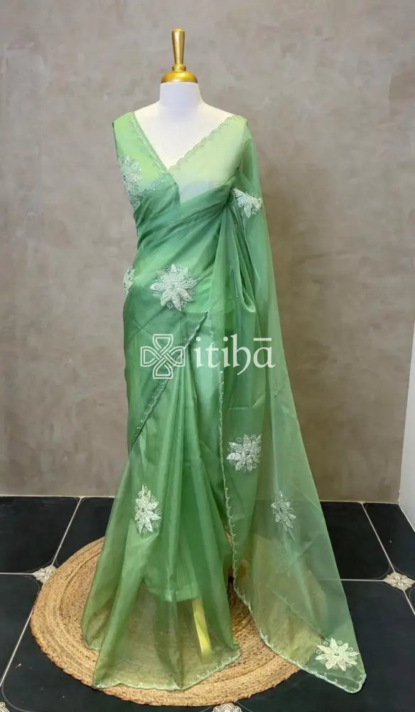 ORGANZA TURKISH APPLIQUE EMBROIDERY SAREE