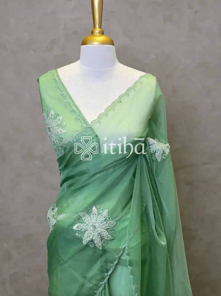 ORGANZA TURKISH APPLIQUE EMBROIDERY SAREE