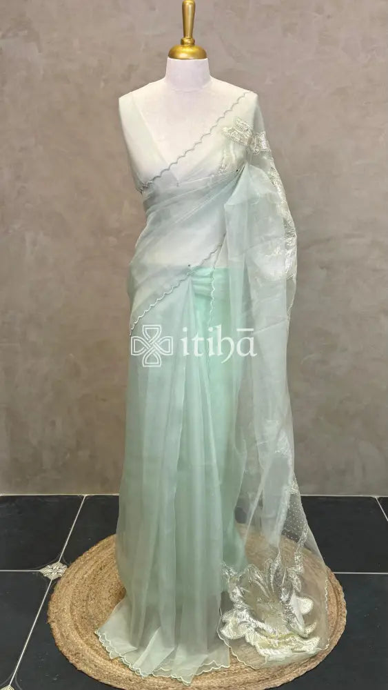 ORGANZA TURKISH APPLIQUE EMBROIDERY SAREE