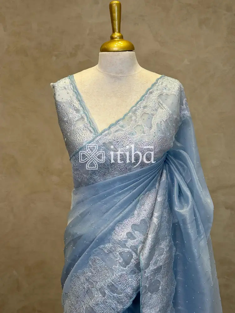ORGANZA TURKISH APPLIQUE SAREE