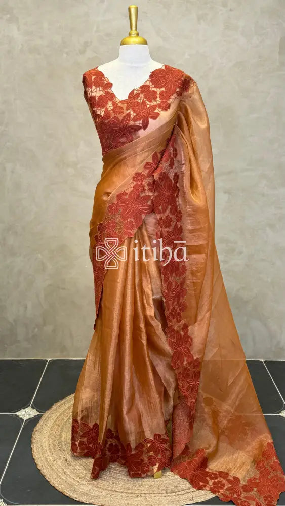 PURE SILK TISSUE ORGANZA APPLIQUE EMBROIDERY SAREE