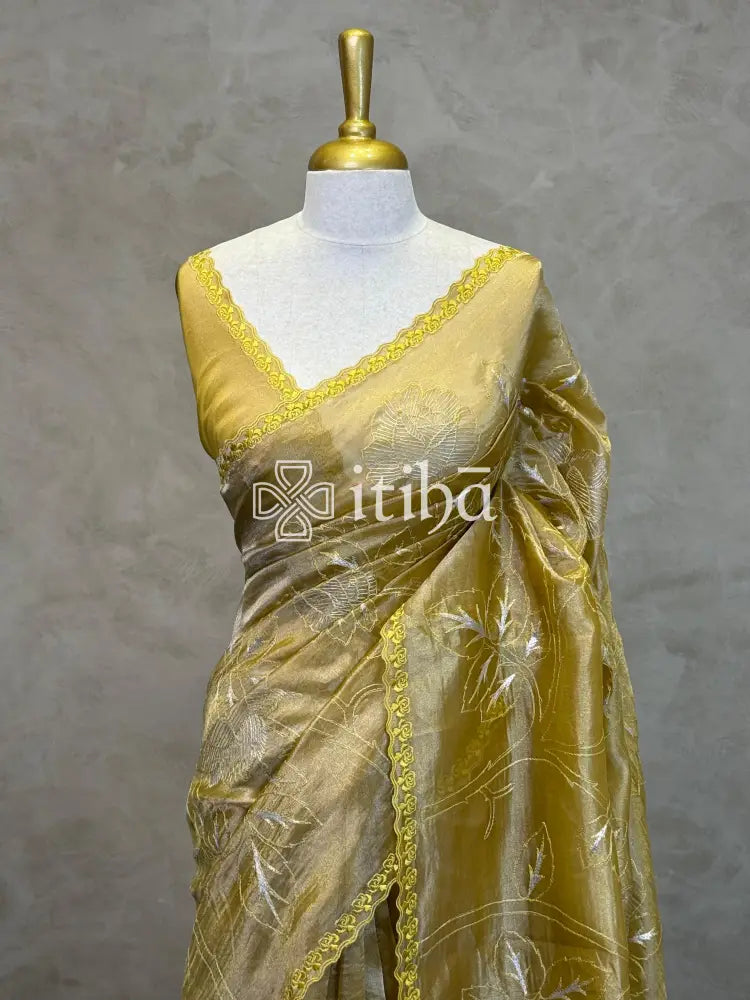 PURE SILK TISSUE ORGANZA APPLIQUE EMBROIDERY SAREE